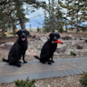 Meet your Posher, Natasha